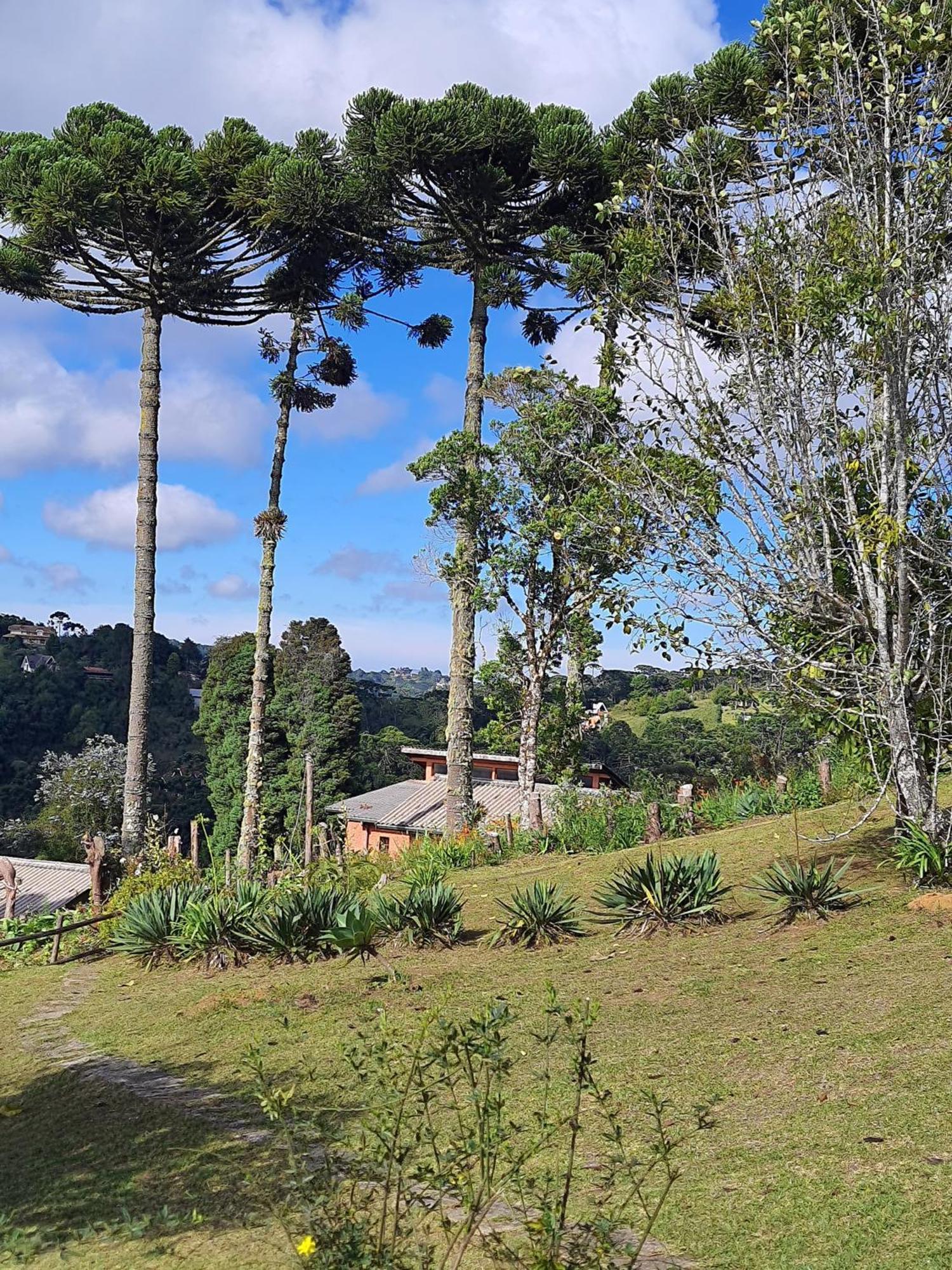 Valle Do Sol Lodge Campos do Jordao
