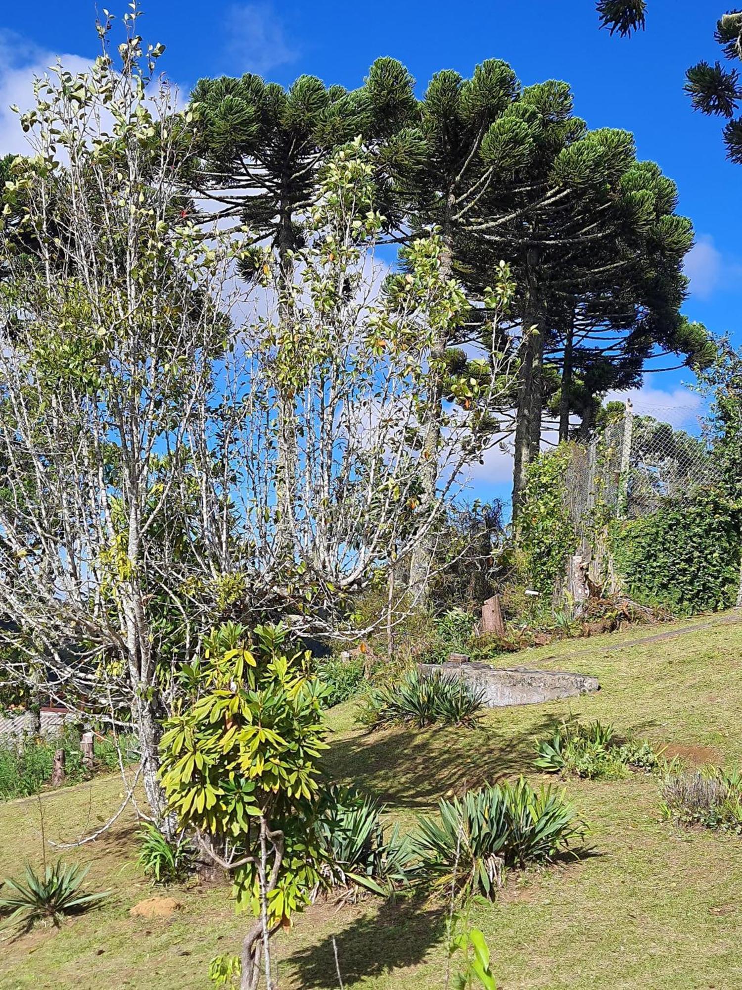 Valle Do Sol * Campos do Jordao